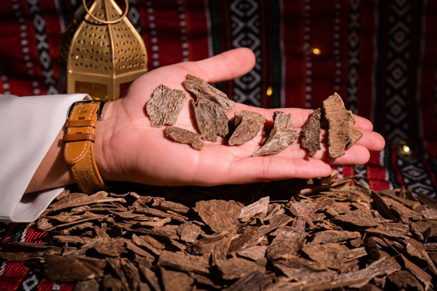 سيلاني ادم تربل سوبر